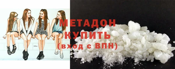 прущие грибы Вяземский
