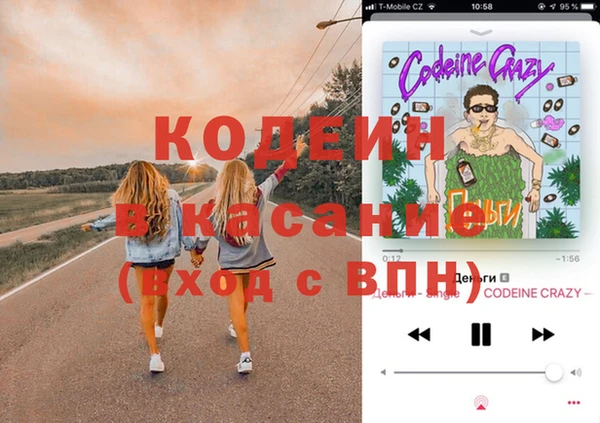 прущие грибы Вяземский