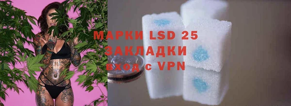 прущие крисы Вязьма