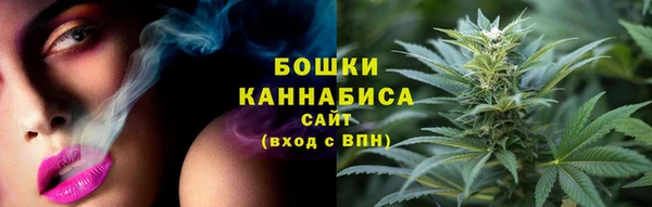 прущие грибы Вяземский