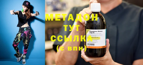 прущие грибы Вяземский