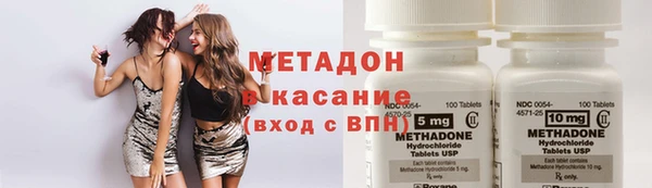 прущие грибы Вяземский