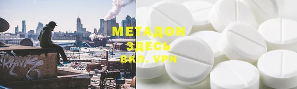 прущие грибы Вяземский