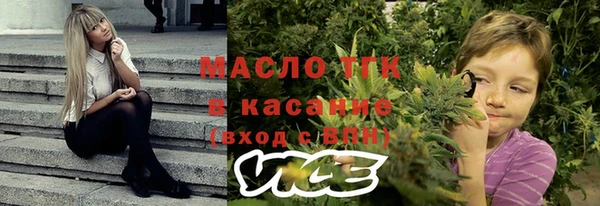 прущие грибы Вяземский