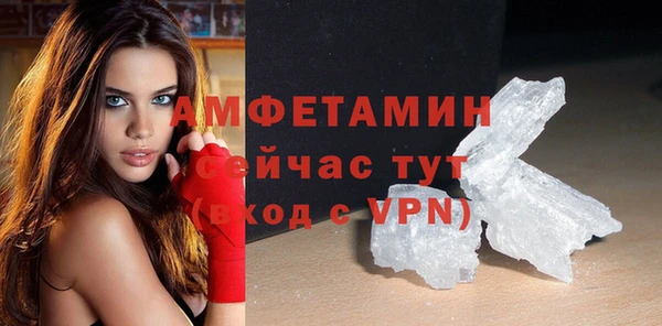 прущие грибы Вяземский