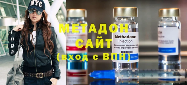 прущие грибы Вяземский