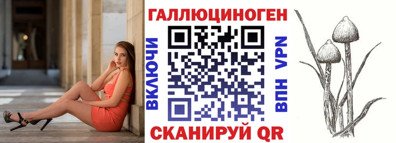 Псилоцибиновые грибы Cubensis  Пятигорск 
